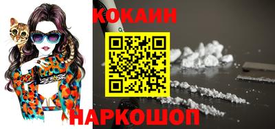 индика Усть-Джегута