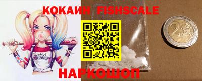 индика Усть-Джегута