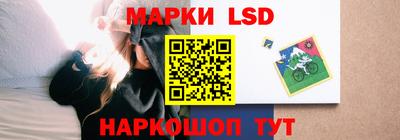 индика Усть-Джегута