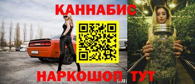 индика Усть-Джегута