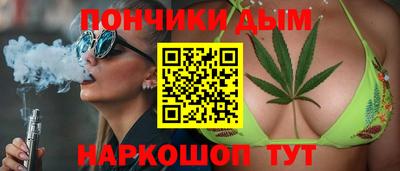 индика Усть-Джегута